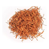 Cordyceps Desh. 250g. Poderoso Adaptogeno Natural. Agronewen