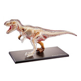  Anatomia Dinosaurio  Rex  4d  Educativo  Niños Cientificos