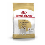 Alimento Royal Canin Jack Russell Terrier Perro Adulto 3 kg