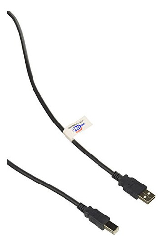 Cable Epson Ceps-usbg, Usb A A B, 10 Pies De Longitud, Gris