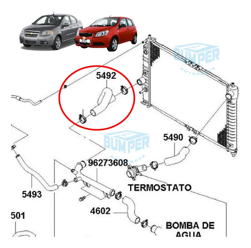 Chevrolet Aveo - Manguera Inferior Radiador | Original Foto 2