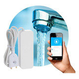 Sensor Inteligente Control Agua Smart House Dm-24 Domotica