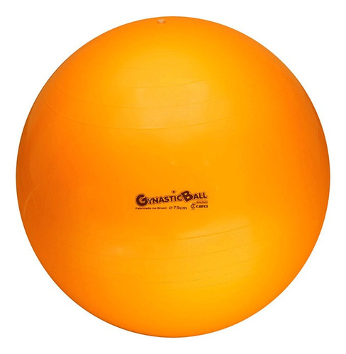Bola Suiça Para Pilates Rpg Fisioterapia 75cm - Carci