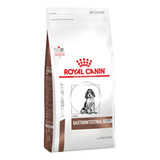 Royal Canin Gastrointestinal Junior 2 Kg Cachorro El Molino