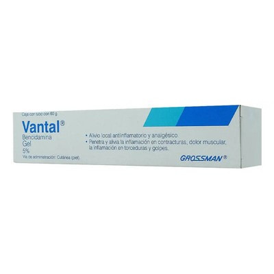 Vantal Gel, 1 Tubo 60 G | Envío gratis