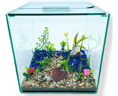 Aquário Cubo 20x20cm Besteira Decoração Fixa Peixes Plantas 