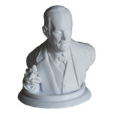 Busto Sigmund Freud - Psicoanalisis - De Escritorio - Imp 3d