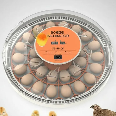 Incubadora Digital 30 Huevos Giro Automatico Pollos Y Aves | MercadoLibre