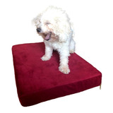 Colchon Mascota Pana Gamuzada Placa Goma Espuma 90x60 G Y G.