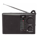 Radio Recargable Audiopro Fm/am/tv/sw 4 Bandas / Tecnocenter