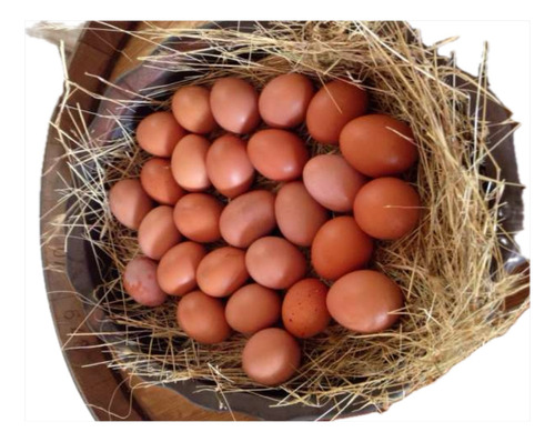 Huevos Fertiles De Gallina Ponedora X30 Und 