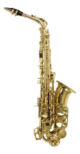 Saxofone Alto Ny Mib Laqueado As200 Com Case 