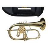 Flugelhorn Hs Musical Hh1 Sib C/capa - Novo 