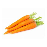 Semillas De  Zanahoria Naranjas Y Rojas Prosperidad