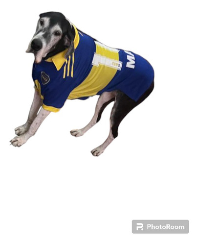 Camiseta Boca Jrs Perro Grande A Medida Estampa Nombre Y Nro