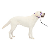 Collar Para Perro Petsafe Gentle Leader No-pull, Tamaño Gran