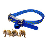 Collar Para Gatos Y Perros Pequeños 28cm Color Azul