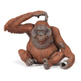 Papo Vida Salvaje 50120 Orangután