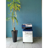 Impresora A Color Multifunción Xerox Workcentre 6655