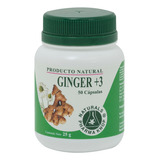 Ginger 3 
