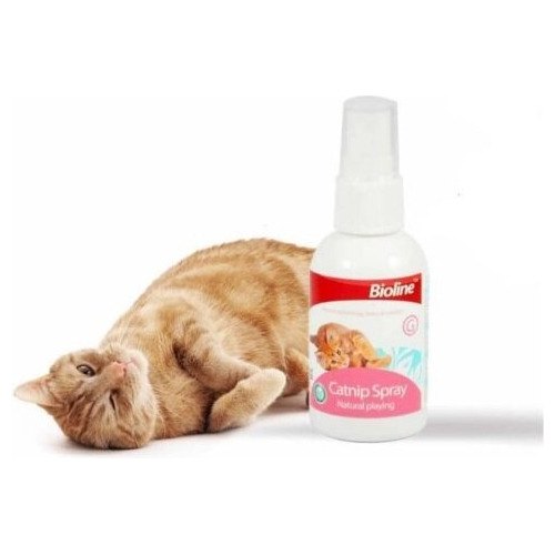 Catnip En Spray 50ml Hierva Gatera Para Gato Mascota 