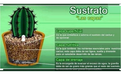 Tierra Especial Para Cactus Y Suculentas Costal De 10 Kilos 