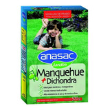 Semilla De Pasto Anasac Mezcla Manquehue Dichondra 500gr. Np