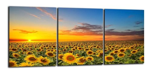 Cuadro Triptico Girasoles Flores Paisaje Naturaleza 90x40cm