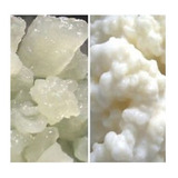 Grãos De Kefir De Água E Leite + Instruções + Brinde