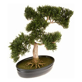 Nearly Natural 4106 Cedar Bonsai Decorative Silk Plant,