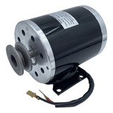 Motor De Cepillo Metálico Automotriz De 24v/800w