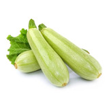 Semillas De Zucchini Para Huertas Cultivo Hortícola