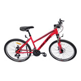 Bicicleta Fire Bird Rodado 24 Modelo Honey