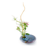 Jarrón Redondo De Ikebana, Púrpura Oscuro Zen