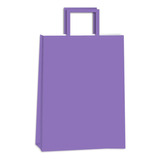 Bolsa Papel Pack 10 Und Romipack 22x30cm Por Color Color Violeta