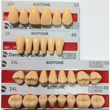 Dente Biotone / Dentron Boca De 28 266/26/34l/34l Cor 66