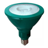 Lampara Led Par 38 Verde 8w Jardin Exterior