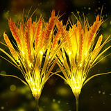 Luces Solares De Flores Decorativas Exteriores, 2 Paque...