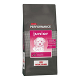 Club Performance Perro Cachorro X 15 Kg