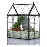 Terrario De Vidrio Negro De 7.5 X 4.9 X 9.5 Pulgadas 