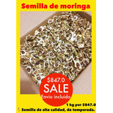 1 Kg De Semilla De Moringa Con Envío Gratis