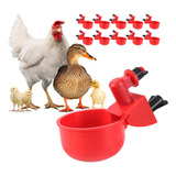 Kit 10 Bebedouro Automático Copinho Copo Bebedor Aves Frango