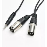 Cable De Audio Mini Plug A Canon A 2 Canon Xlr 5 Metros Pro