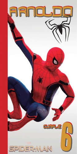 Lona Personalizada Spiderman Hombre Araña Manta Decoración