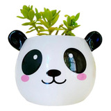 Maceta Gorsh Oso Panda Feliz Deco Diseño Cactus Sipi Shop