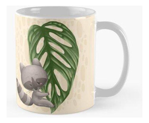 Taza X4 Mapache Sosteniendo Hoja De Monstera Adasonii Laniat