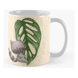 Taza X4 Mapache Sosteniendo Hoja De Monstera Adasonii Laniat