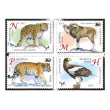 2013 Fauna- Zoologicos Tigre Ave- Bielorrusia (sellos) Mint