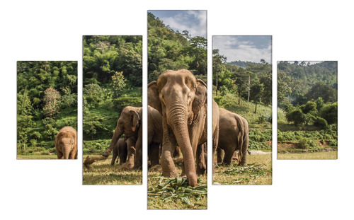 Set De 5 Cuadros Canvas Elefantes En Familia 114x185cm
