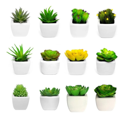 Set De 4 Mini Plantitas Suculentas Artificiales (a Elegir)